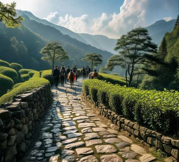 茶马古道，穿越时空的历史之旅