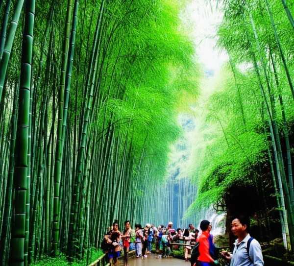 蜀南竹海，自然奇观中的竹韵风情之旅